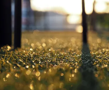 Diferencias entre césped artificial y césped natural