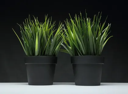 Proyecto césped artificial natural suave Danubio